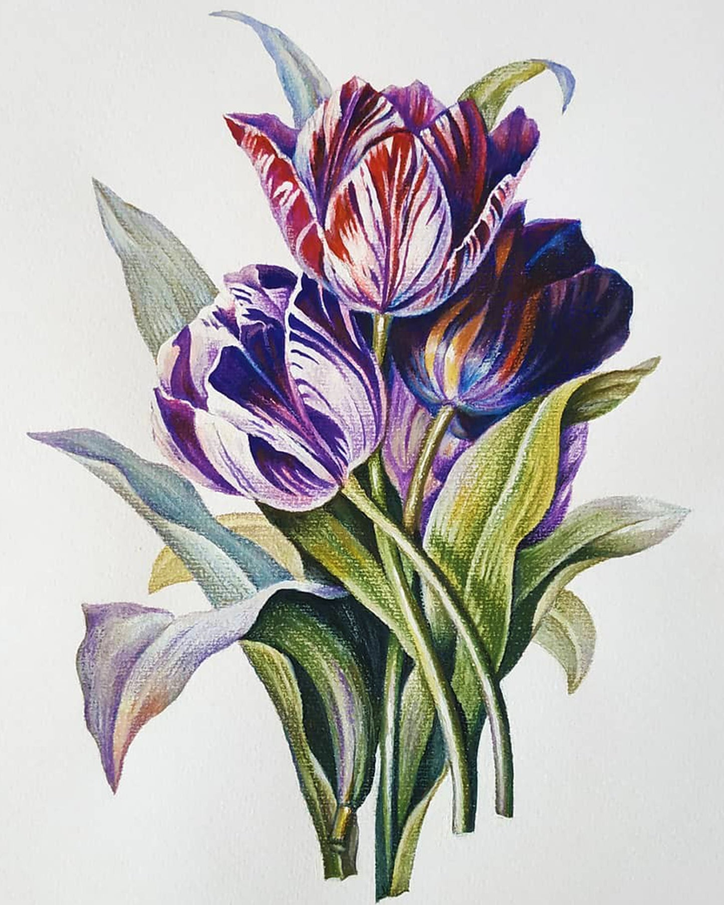 Tulips By Victor Ceban