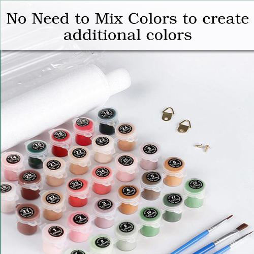 Paint By Numbers Kit