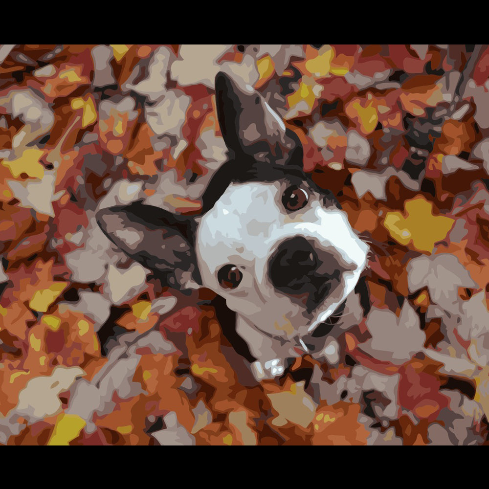 Paint Your Pet! - Custom Paint By Numbers