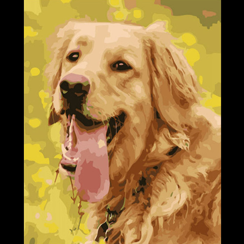 Paint Your Pet! - Custom Paint By Numbers