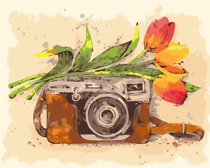 Vintage Camera With Tulips By Anna Petunova