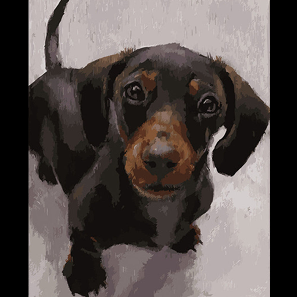 Paint Your Pet! - Custom Paint By Numbers
