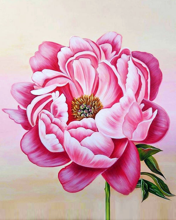 Peony By Anna Alexandrova