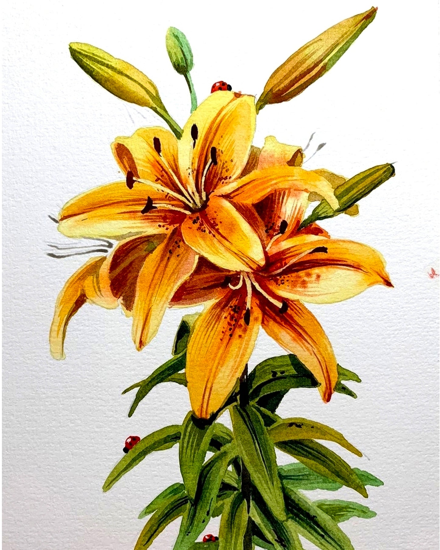 Original Artwork By Anna Petunova