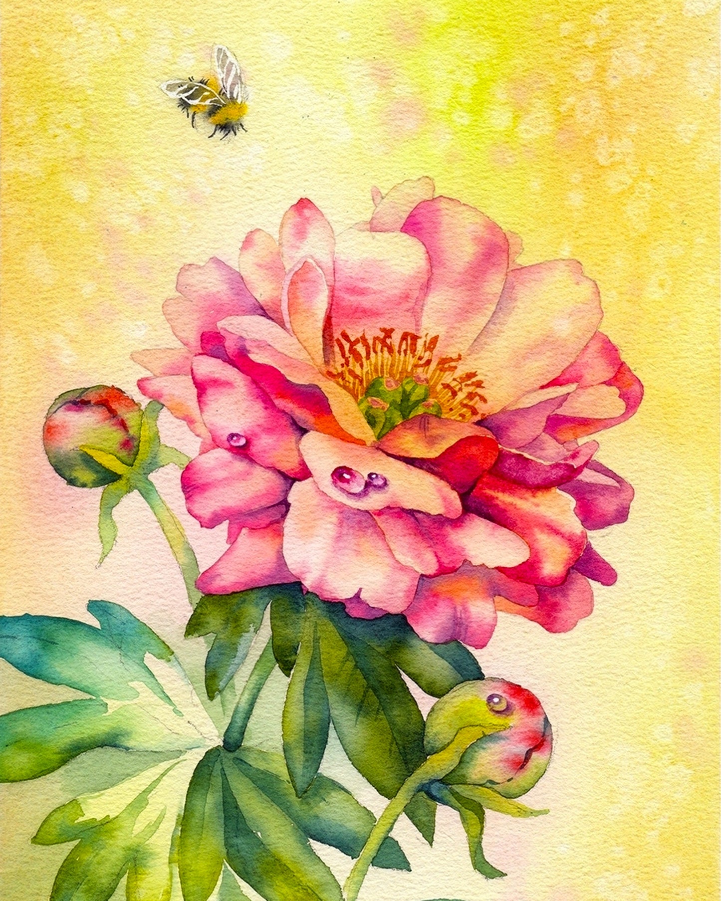 Original Artwork By Anna Petunova