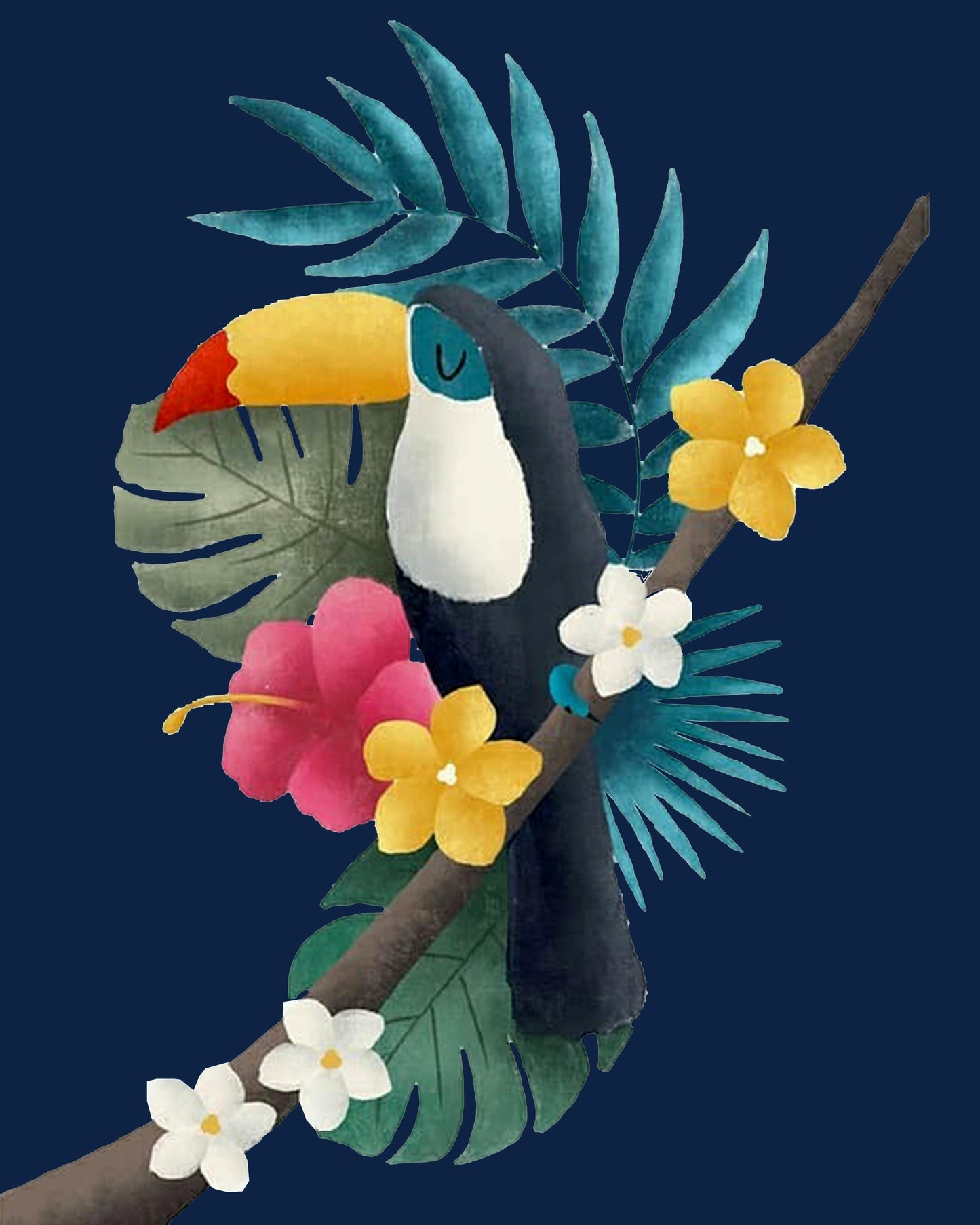 Toucan By Justyna Filipiak