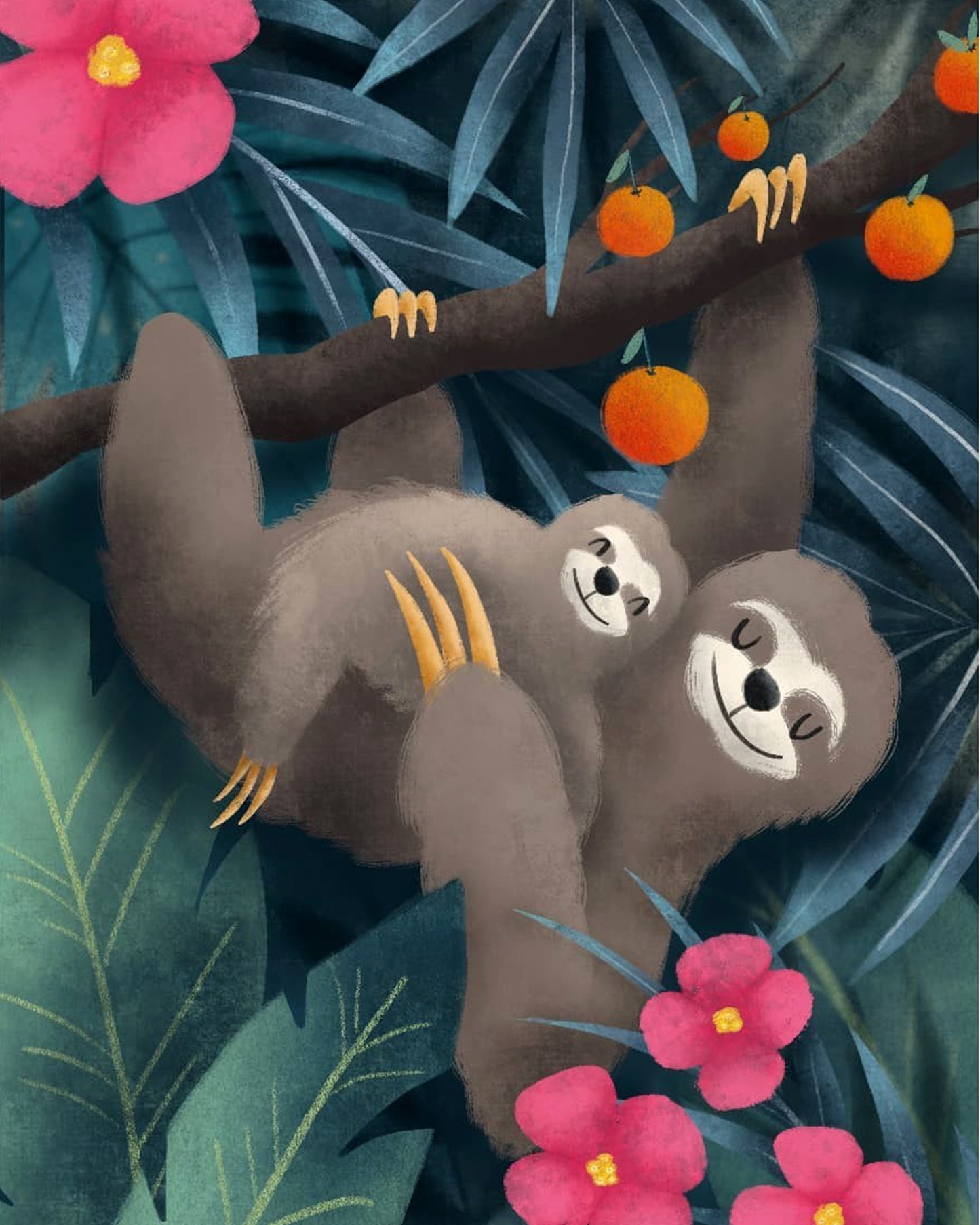Baby Sloth By Justyna Filipiak