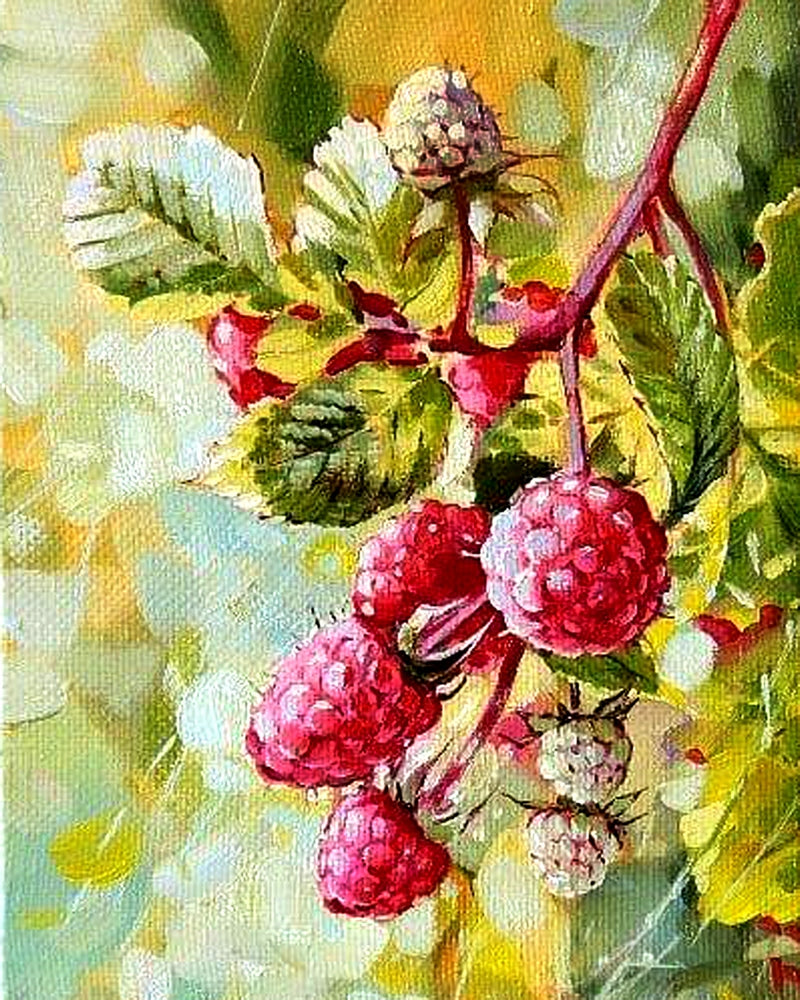 Raspberry By Natasha Golovina