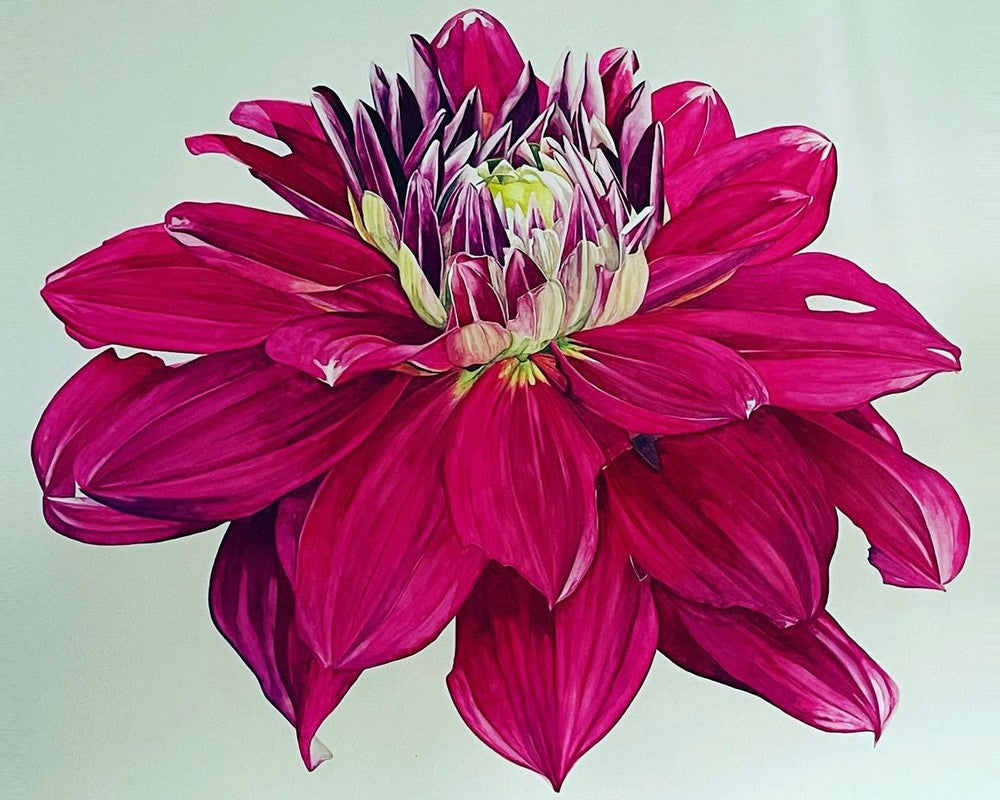 Pink Dahlia By Stacy Ann Pugh