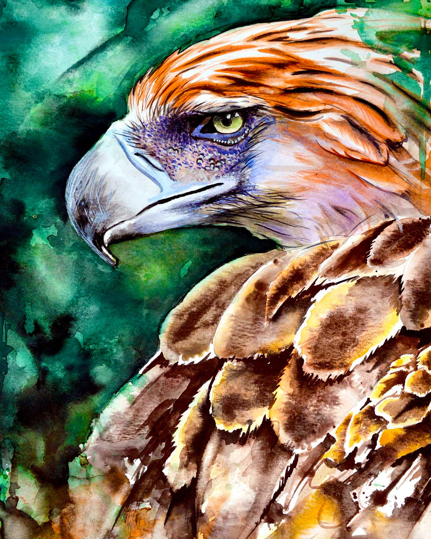 Mighty Eagle By Stanislav Atanasov