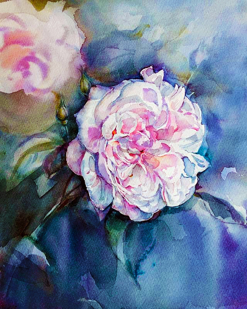 Rose Fantin Latour By Tatiana Mints