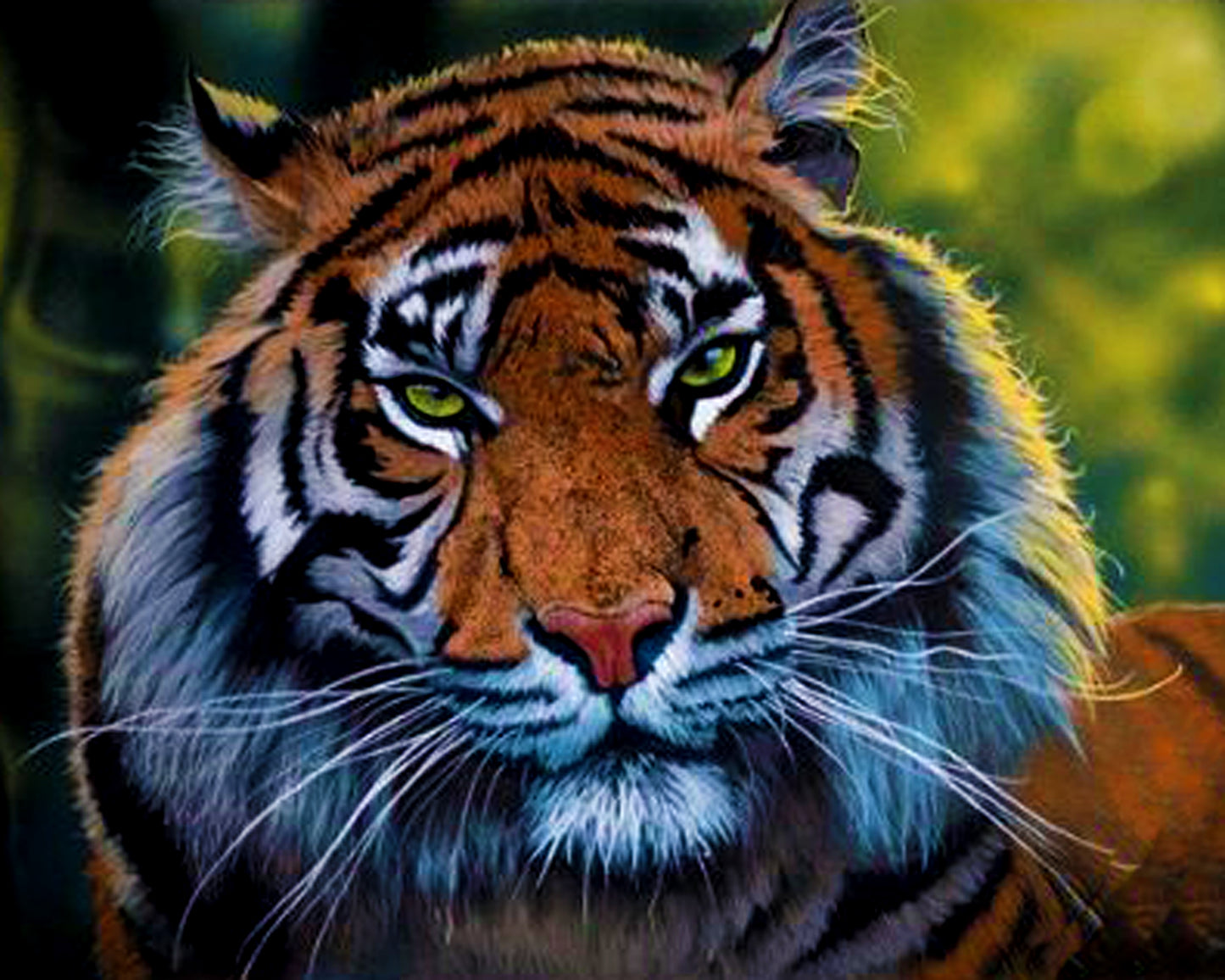 Tiger By Stanislav Atanasov