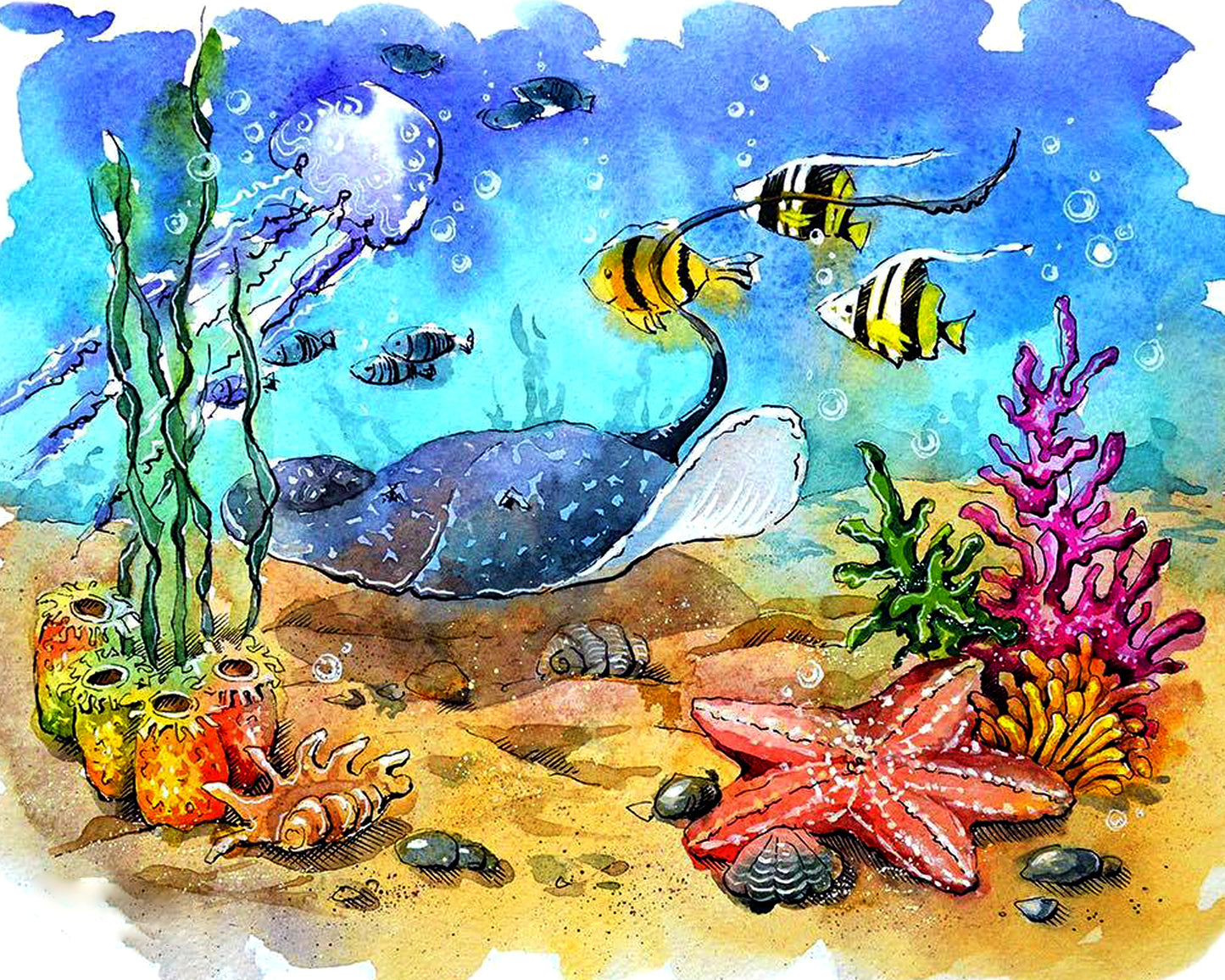 Ocean Life