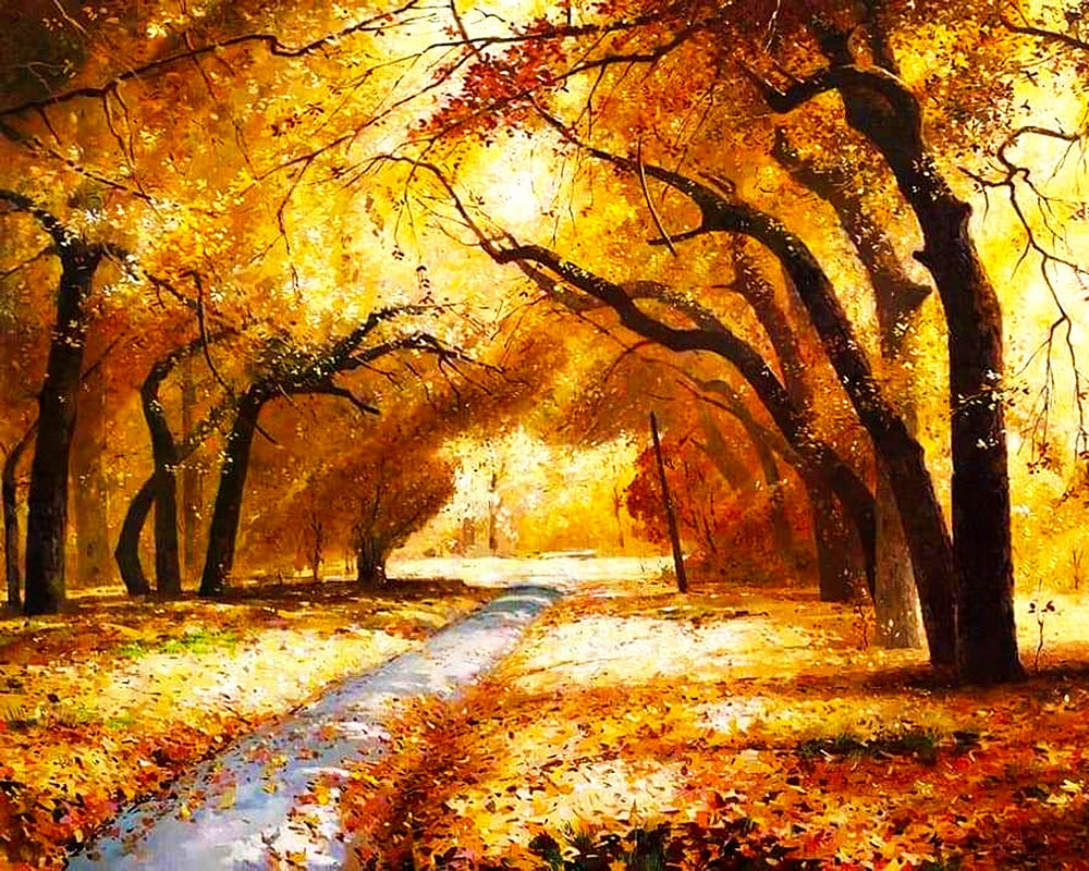 Autumn Forest