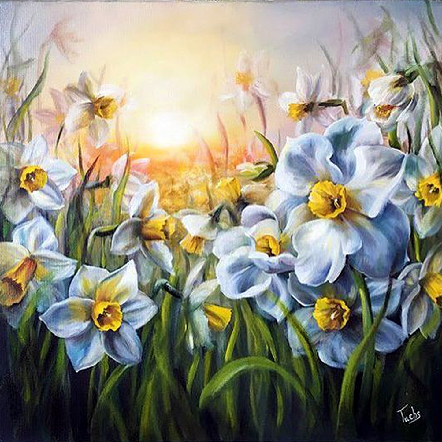Field of Daisies