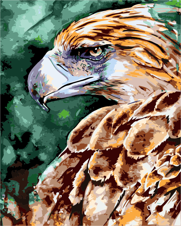 Mighty Eagle By Stanislav Atanasov