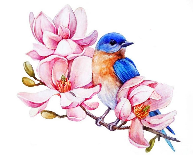 Bluebird And Magnolias - Melanie Recommends