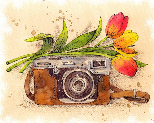 Vintage Camera With Tulips By Anna Petunova