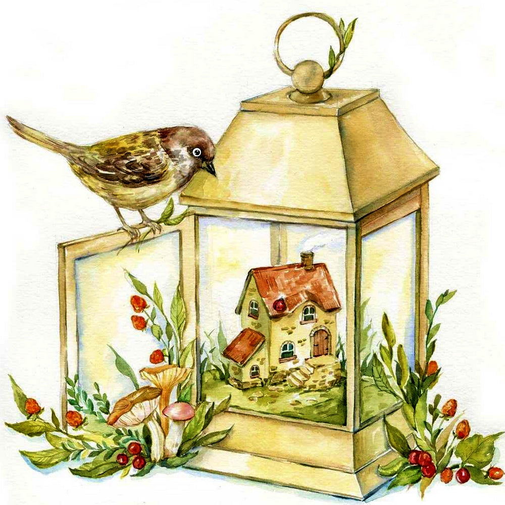 Bird And The Lantern By Daria Smirnovva