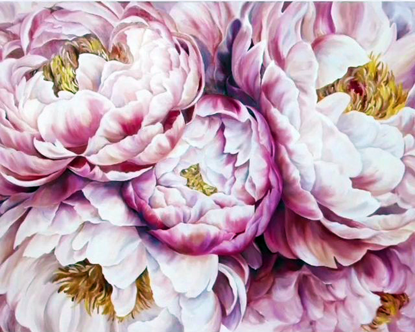 Peonies By Diana Tuchs