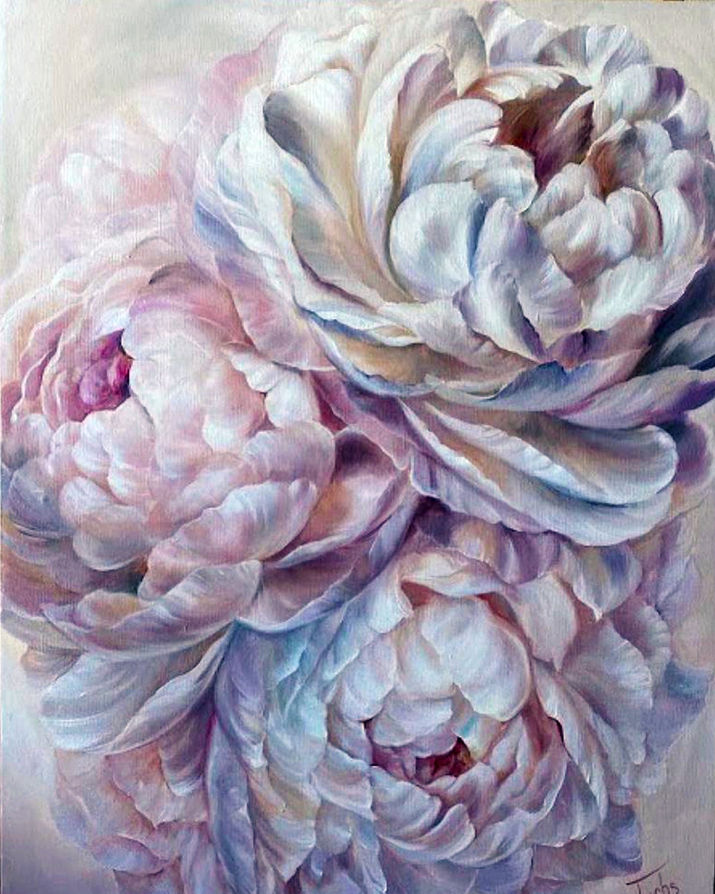 Peonies By Diana Tuchs