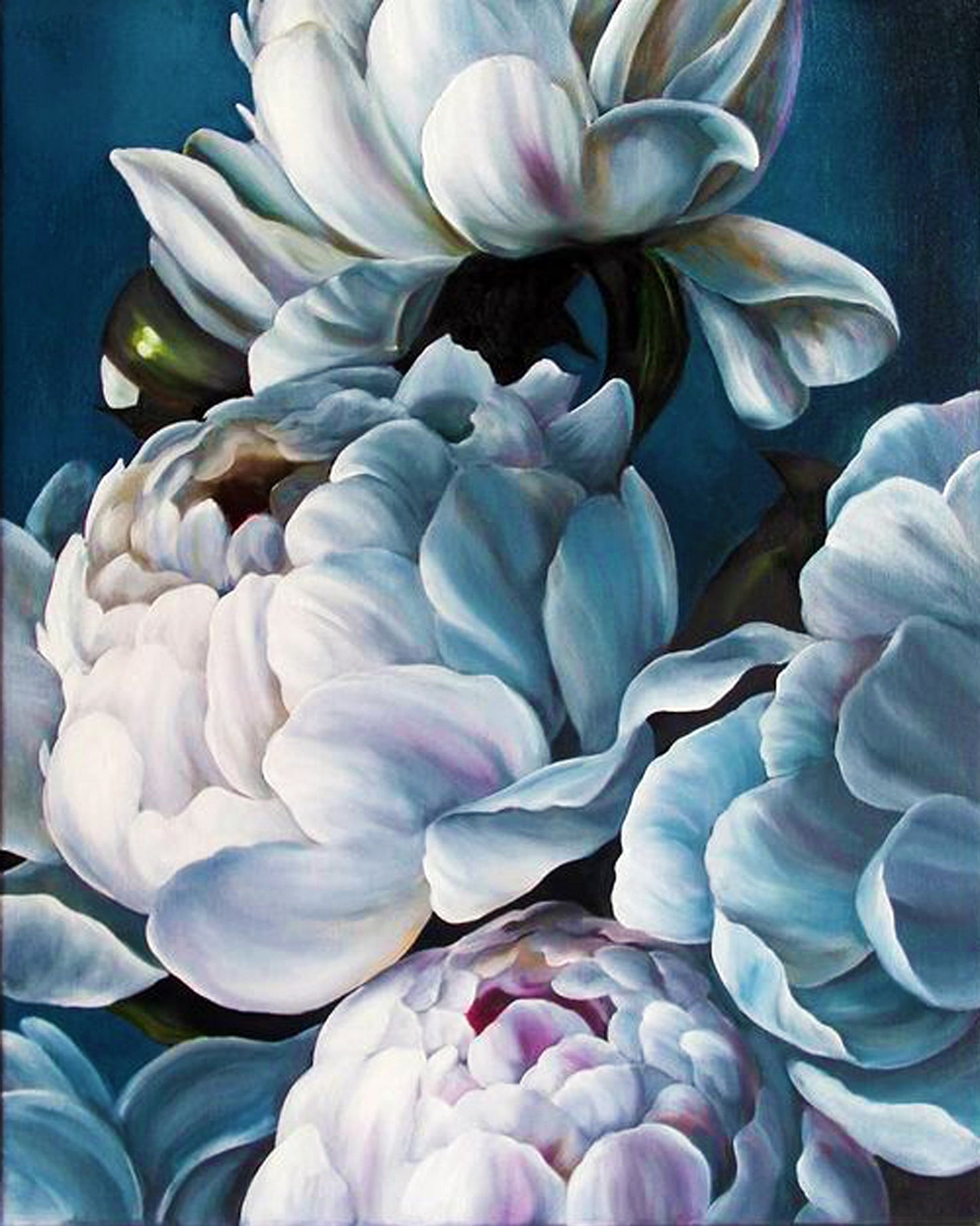 Peonies By Diana Tuchs