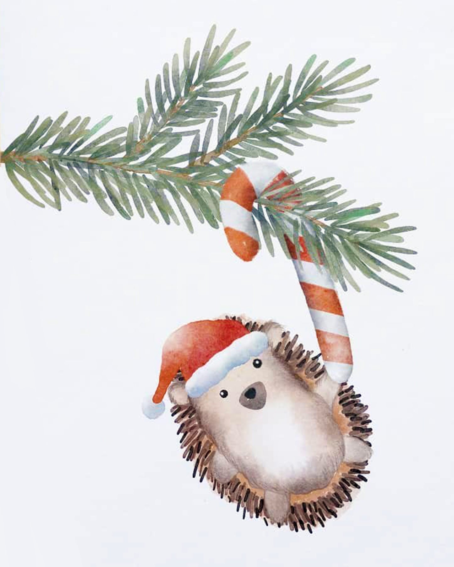 Hedgehog In Christmas Mood By Justyna Filipiak