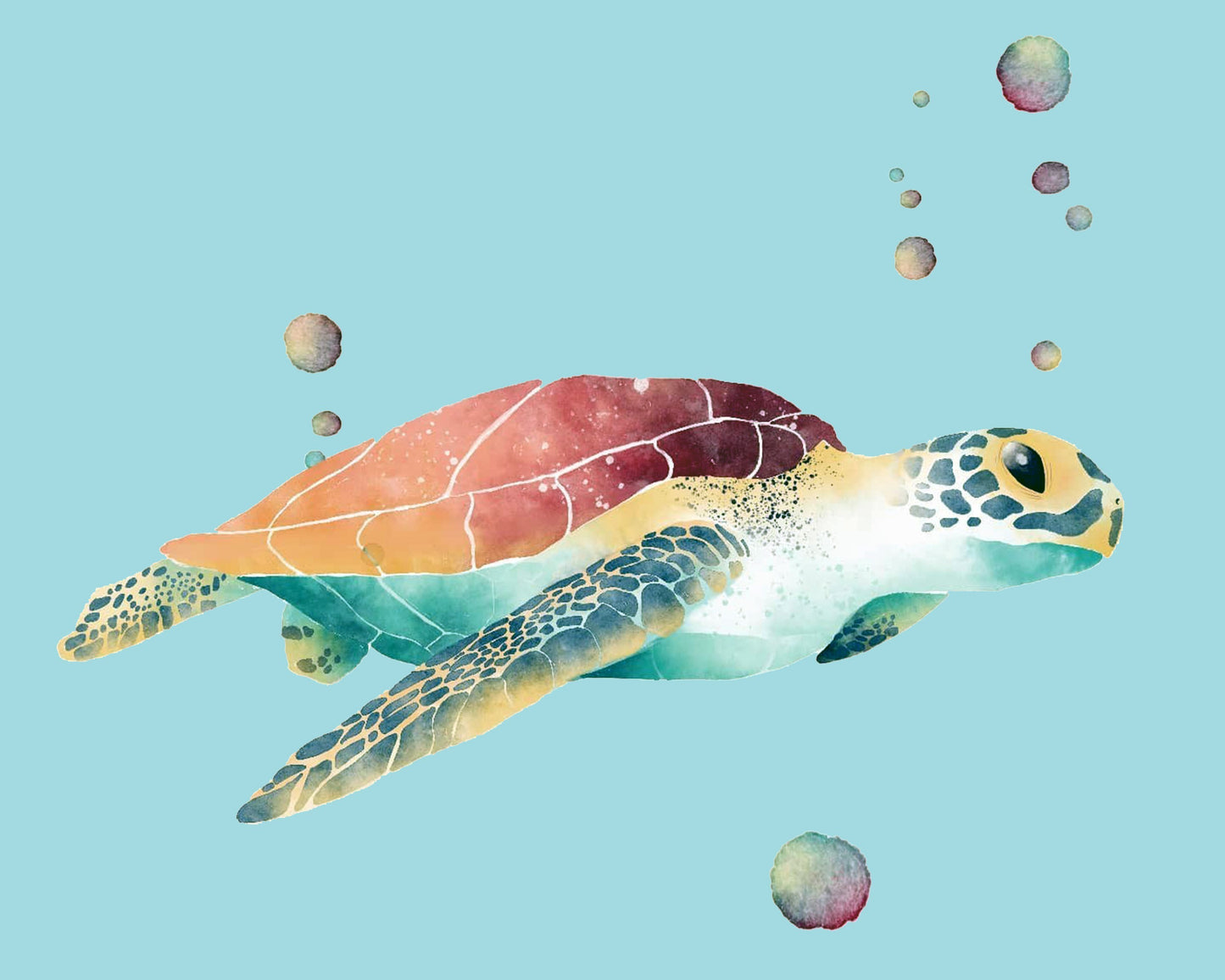 Space Turtle By Justyna Filipiak