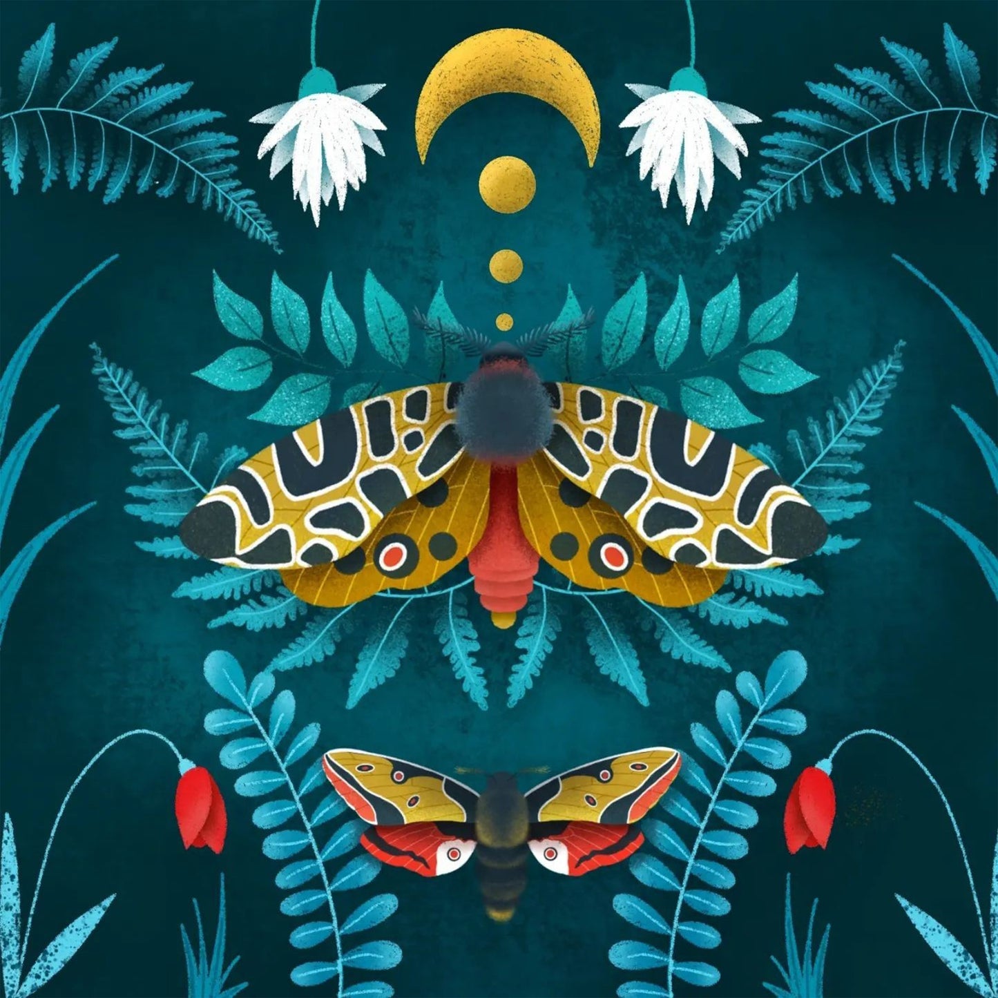 Moths And Butterflies By Justyna Filipiak