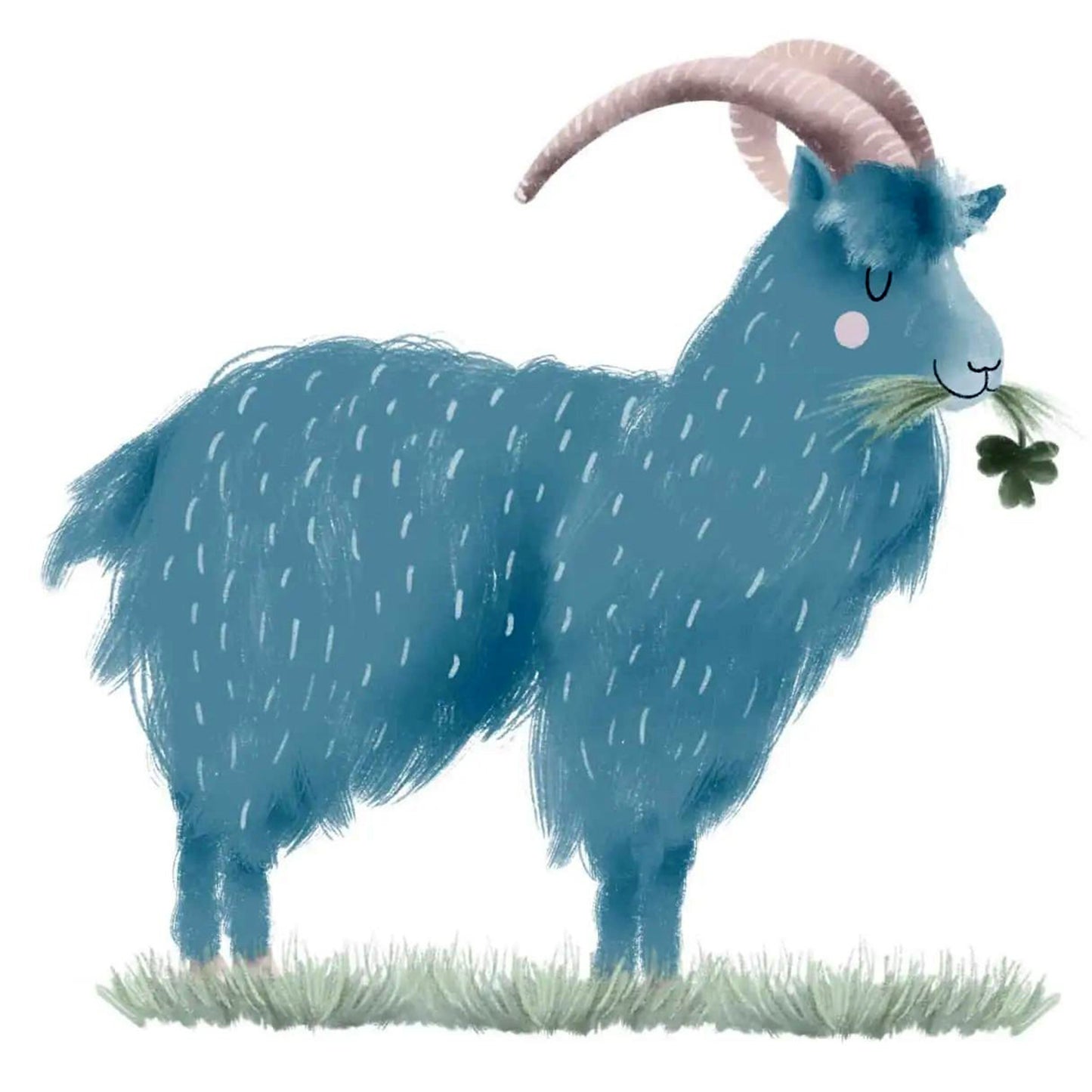 Old Irish Goat By Justyna Filipiak
