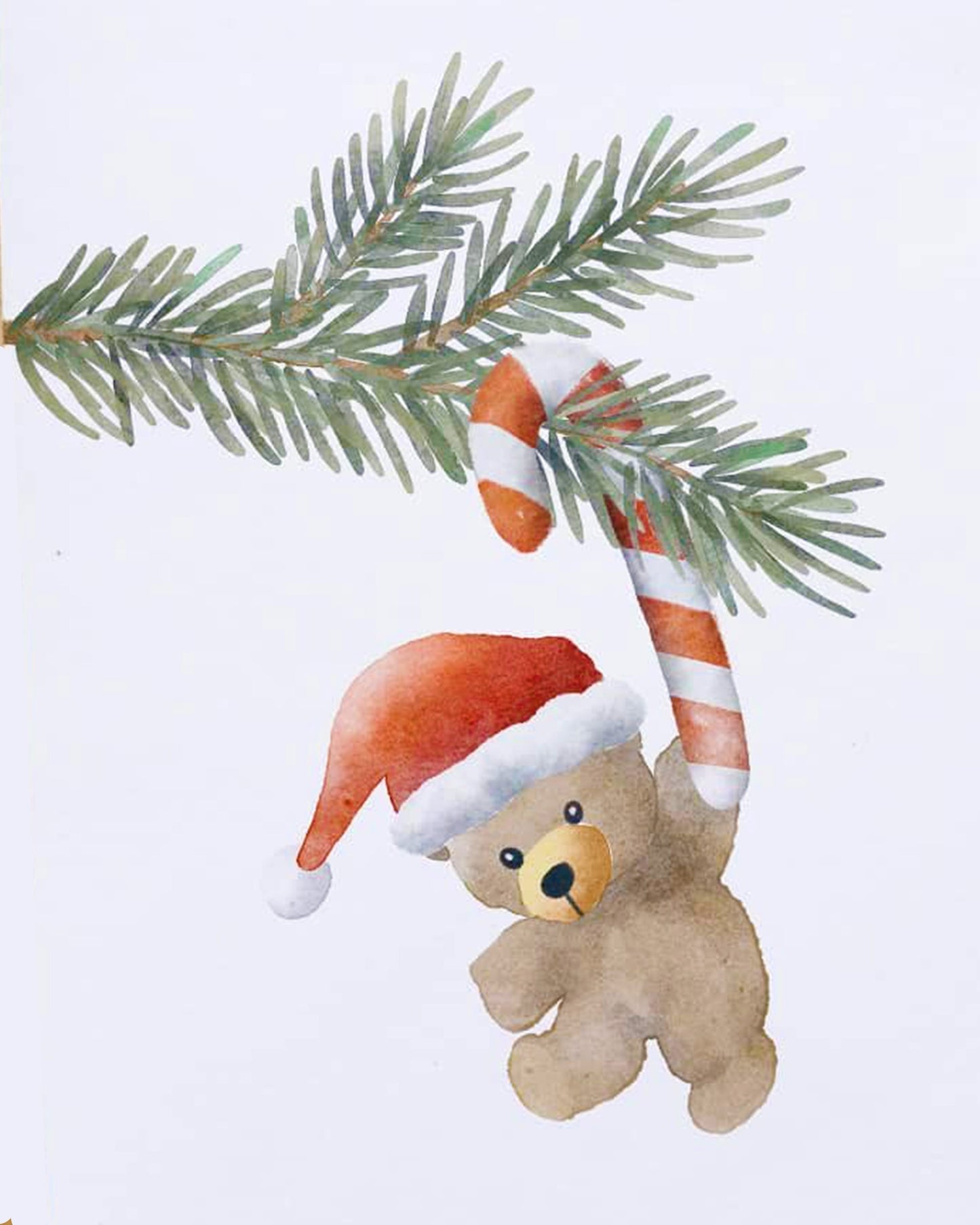 Teddy In Christmas Mood By Justyna Filipiak
