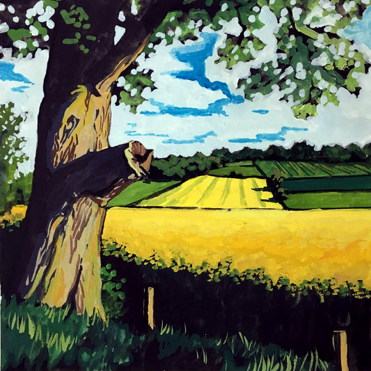 Mini Paint by Numbers Kit  - 25x25 cm