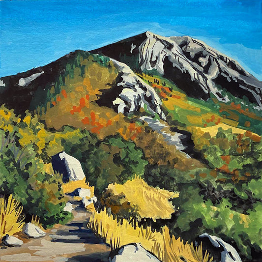 Mini Paint by Numbers Kit  - 25x25 cm