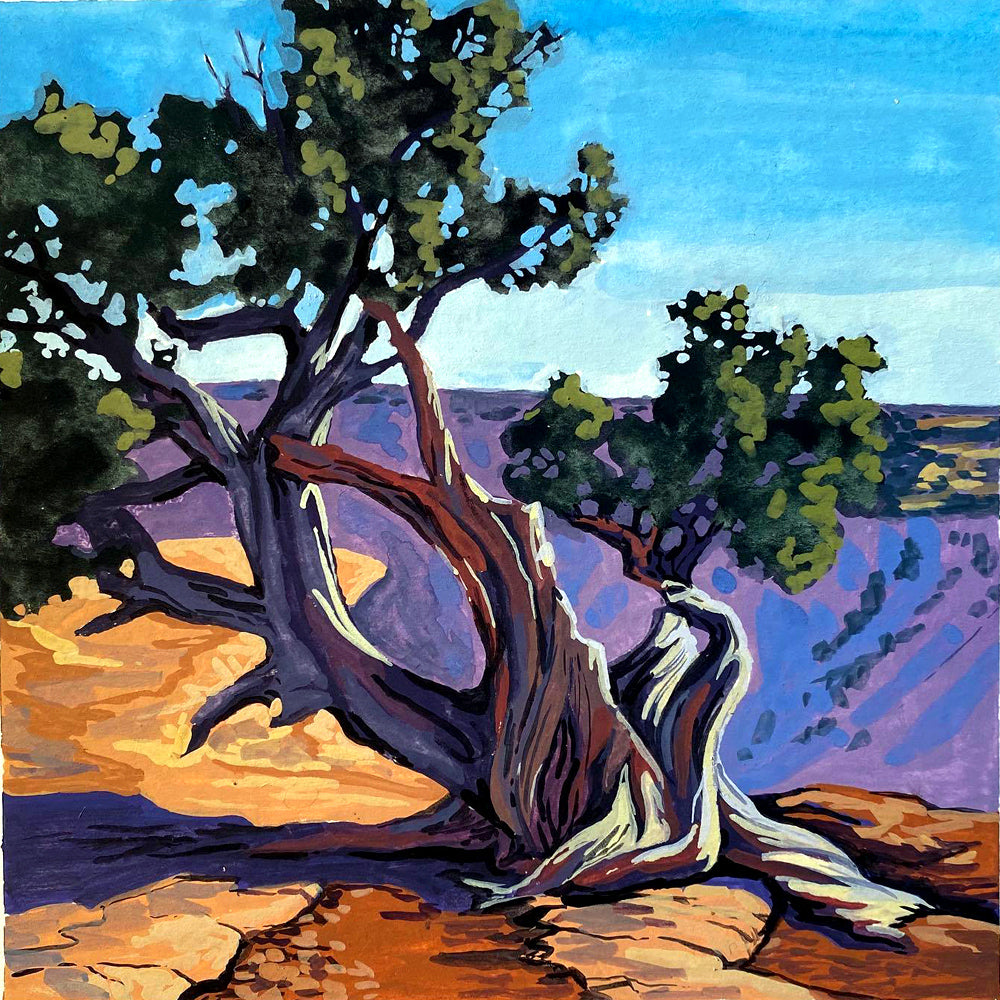 Mini Paint by Numbers Kit  - 25x25 cm