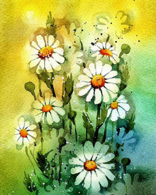 Daisies In The Wild - Melanie Recommends