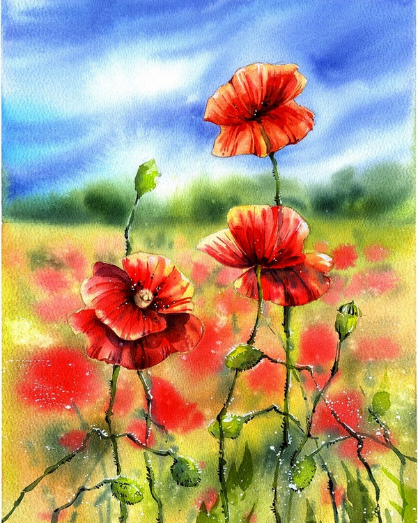Poppies In The Field - Melanie Recommends