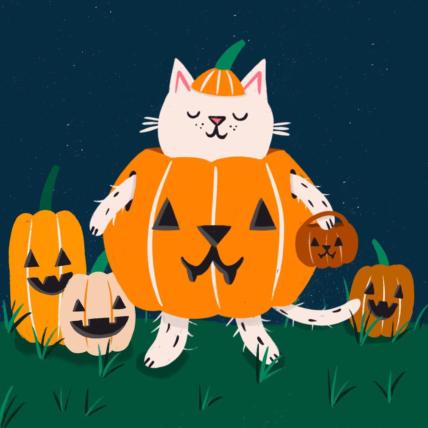 Pumpkin Cat By Nat Ellis