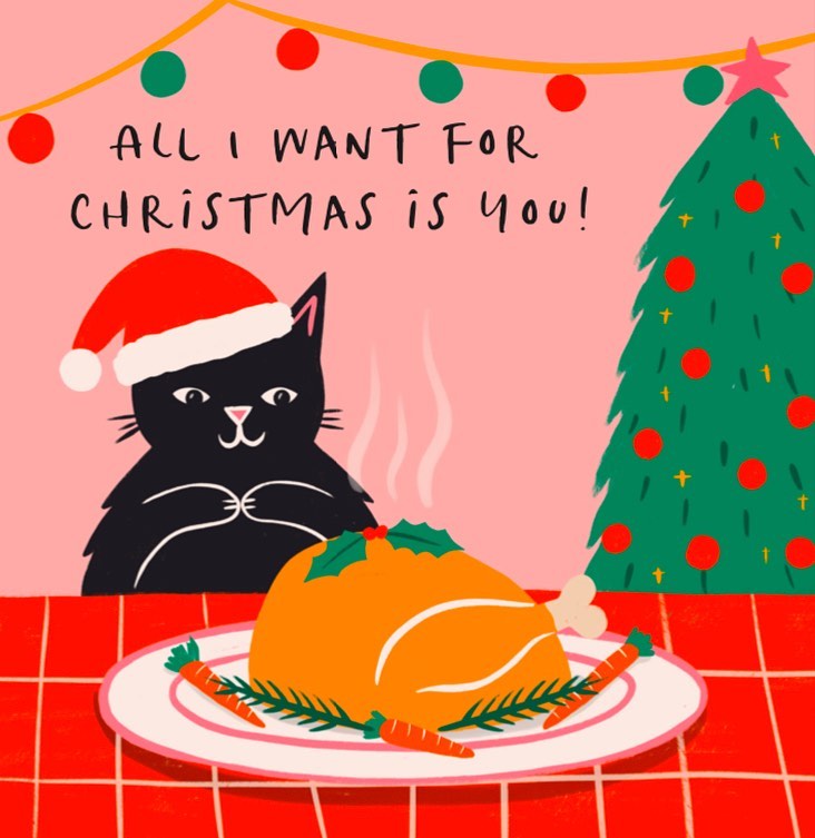 All I Want For Christmas Is You By Nat Ellis