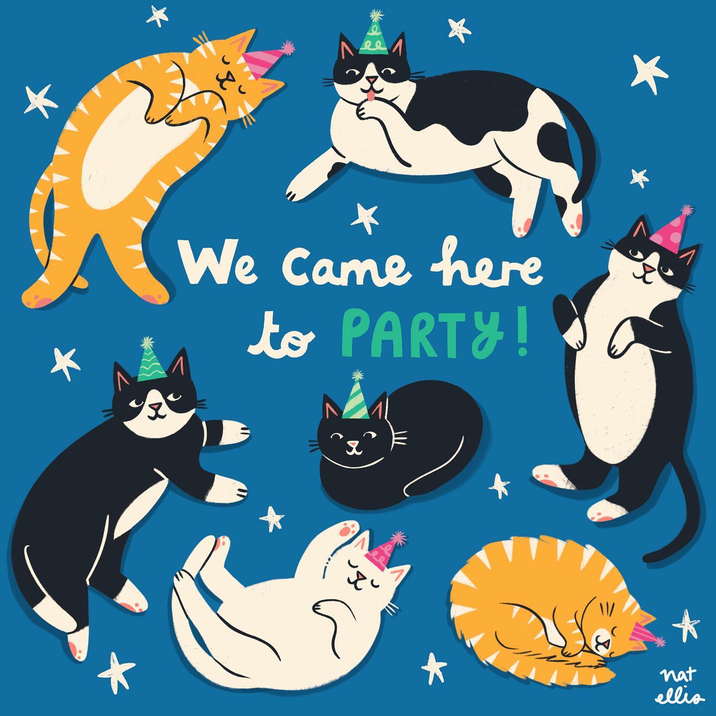 We Came Here To Party By Nat Ellis
