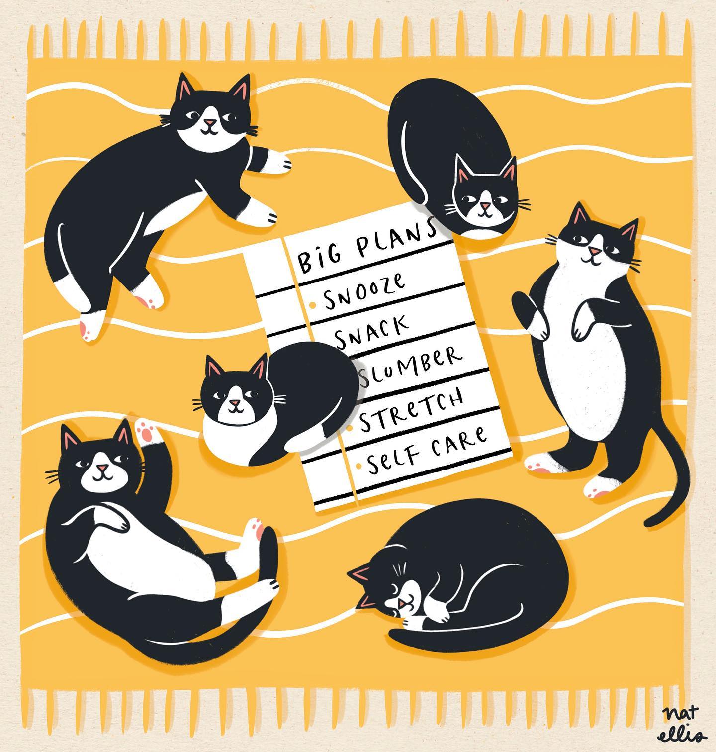 Big Plans Of Cats By Nat Ellis