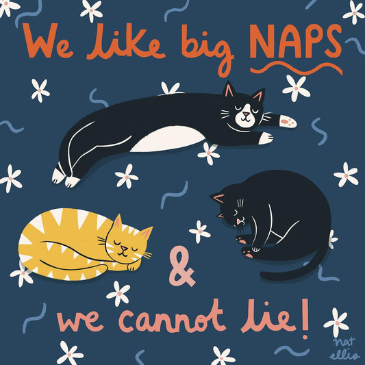 We Like Big Naps And We Cannot Lie By Nat Ellis