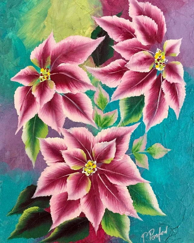 Pink Poinsettias By Paulina Ponsford