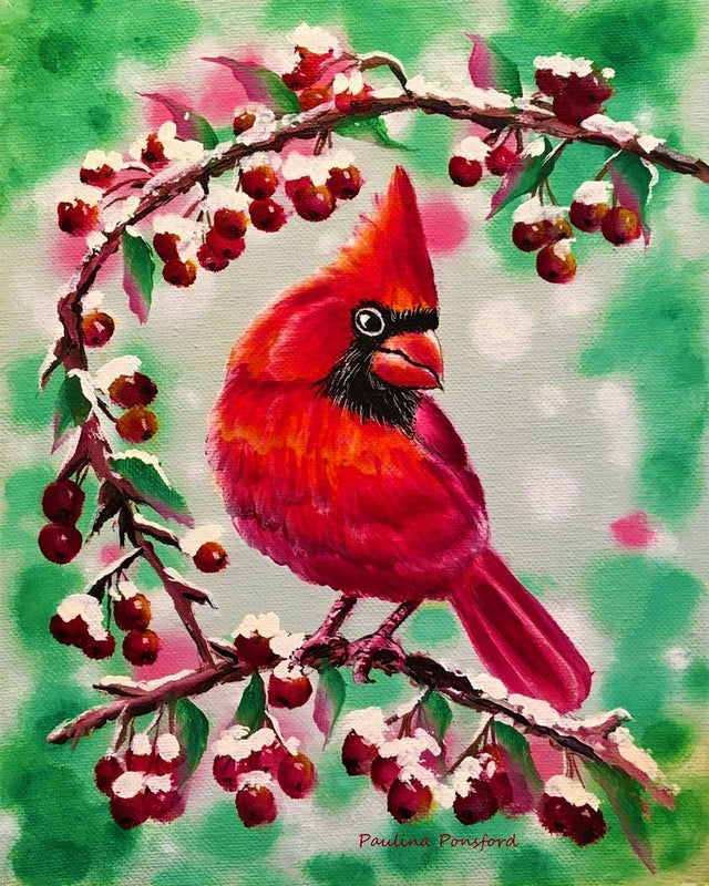 Christmas Cardinal By Paulina Ponsford