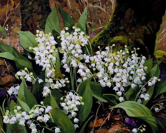 Lilies of the Valley By Sergey Khamalyan