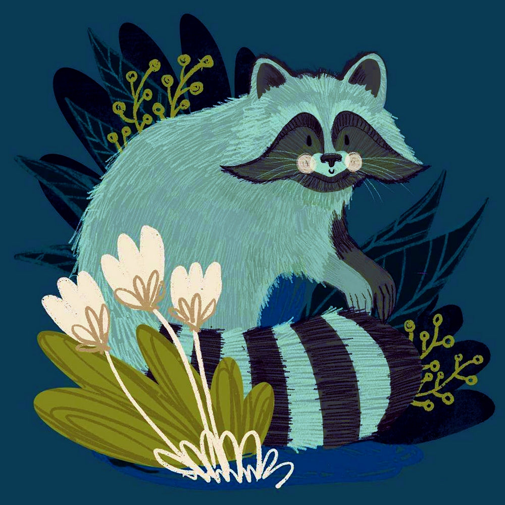 The Raccoon By Zuzanna Sak