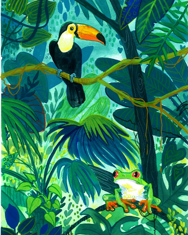 Tucan And The Frog By Zuzanna Sak