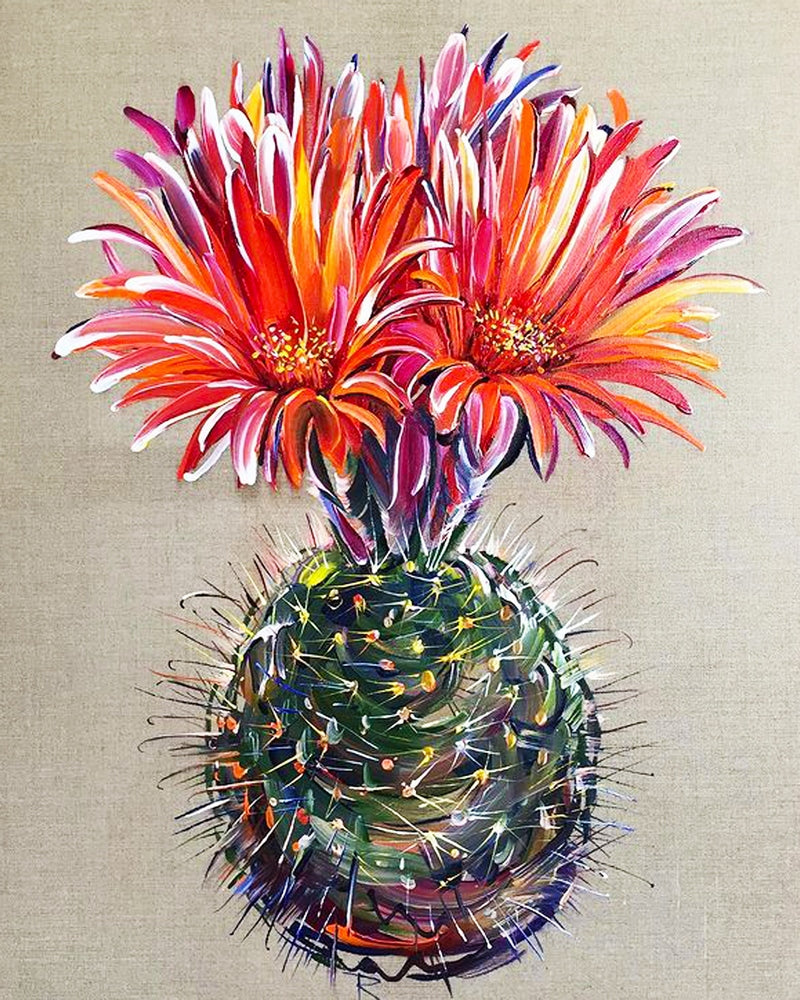 Big Bang Cactus By Tatiana Mints