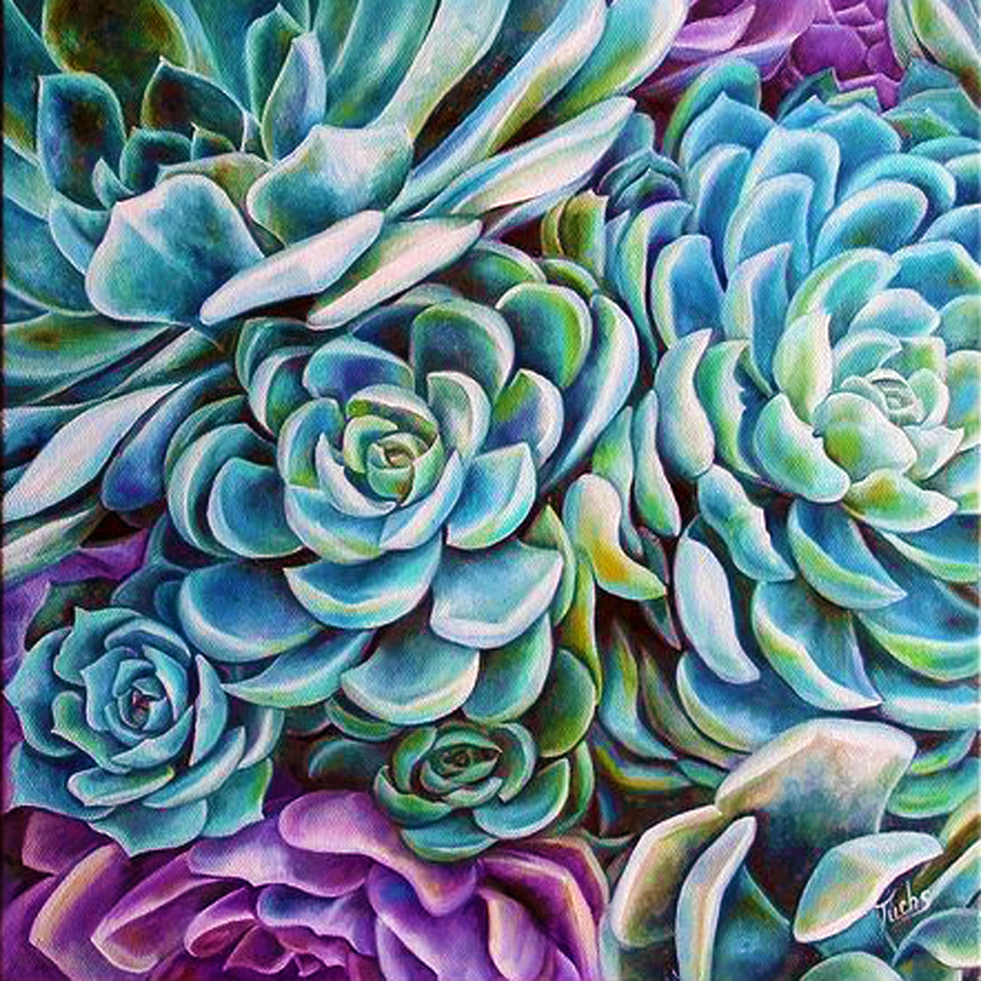 colorful succulent painting Succulents – aanabanana