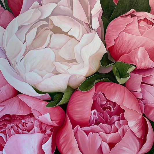 Pink and White Peonies